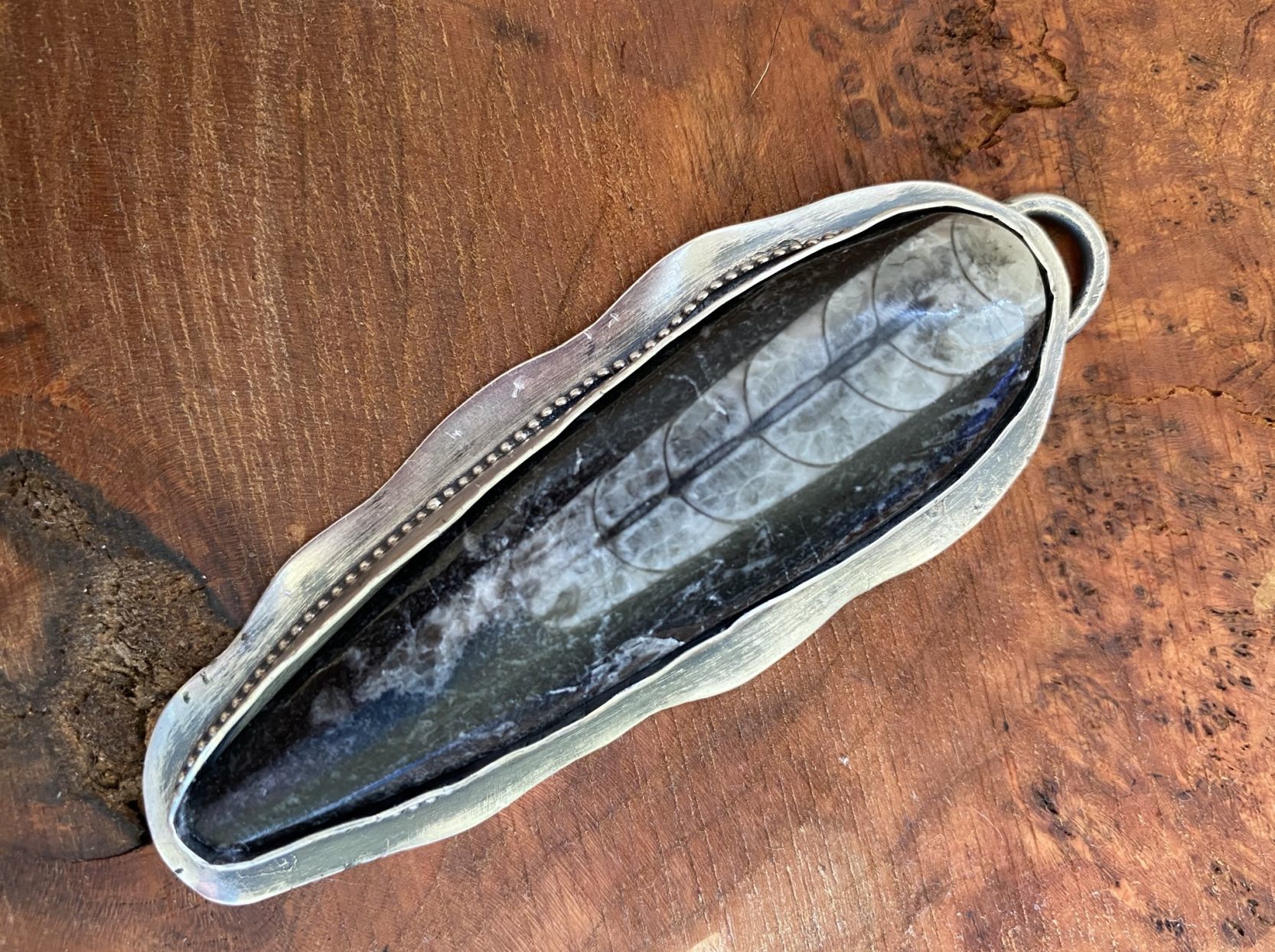 Nan Marshall silver fossil